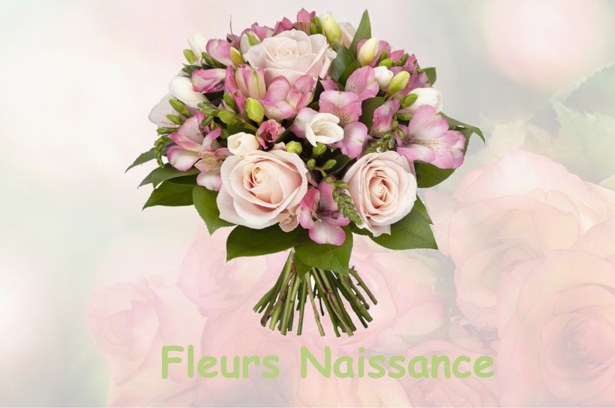 fleurs naissance BADECON-LE-PIN