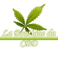 LA BOUTIQUE DU CBD BADECON-LE-PIN 